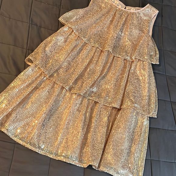 Cat & Jack Other - Cat and Jack Rose Gold Sequined Holiday Party dress